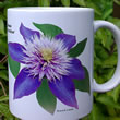 mug DS-113 Clematis 'Multiblue' 7157.jpg
